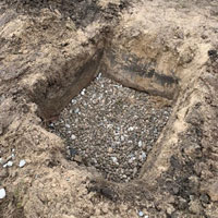 Green Rhyl: Tree pits